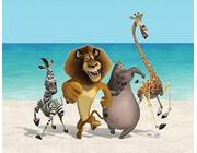 Dieren
