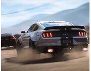 Race