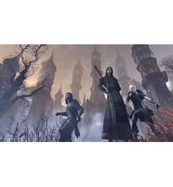The Elder Scrolls Online: Tamriel Unlimited