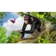 Zoo Tycoon: Ultimate Animal Collection