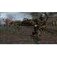 Call of Duty 3
