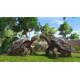 Zoo Tycoon